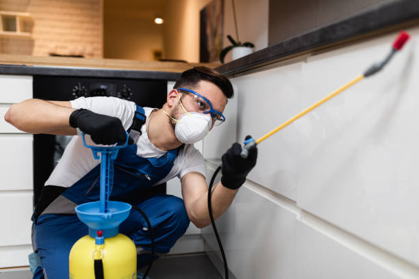 Best Pest Removal Services  in Bedford, TX
