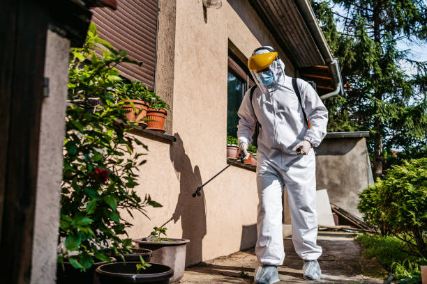 Best Mosquito Control Services  in Bedford, TX