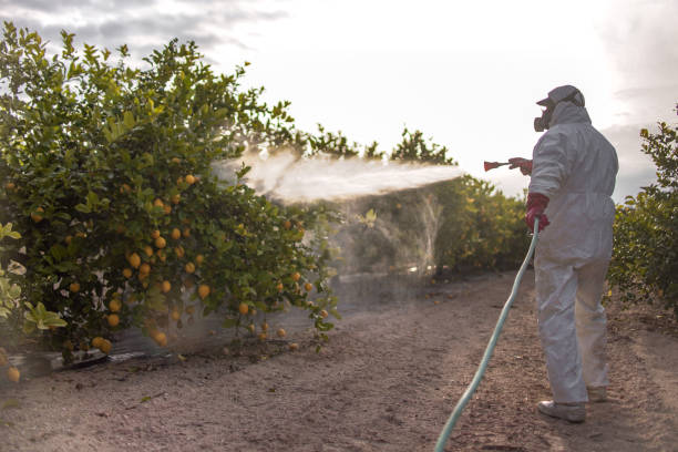 Best Best Pest Control Companies  in Bedford, TX