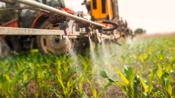 Best Pest Control Cost  in Bedford, TX